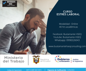 Promo Curso Estres Laboral